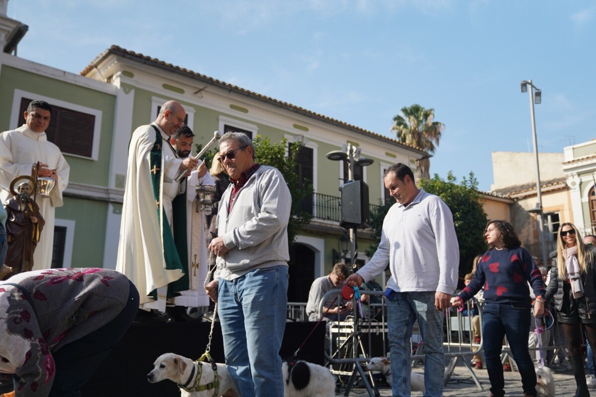 Celebración bendición de los animales en Paterna 2024
